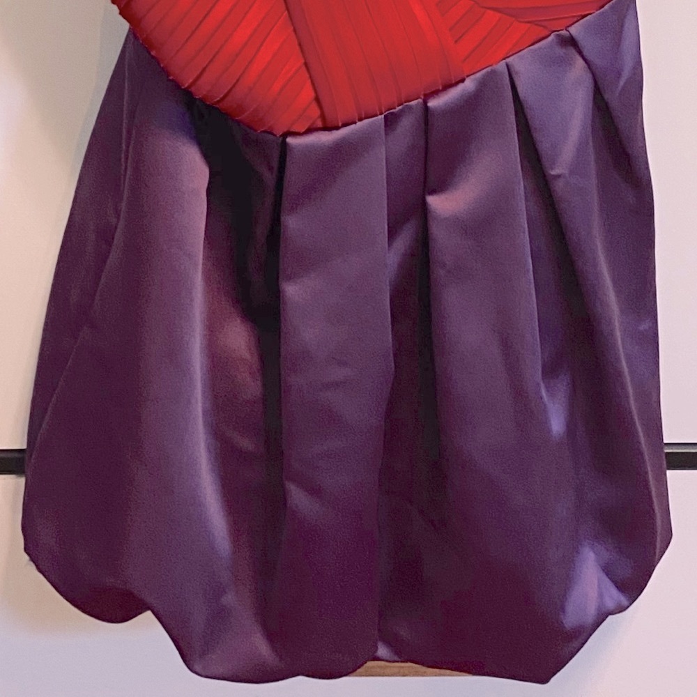 Festive Red & Purple A.B.S Dress For Holiday Cards - Picture 9 of 16